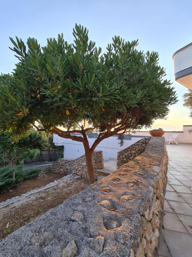 Villa Panoramica Sunset House Torre Vado Exterior foto