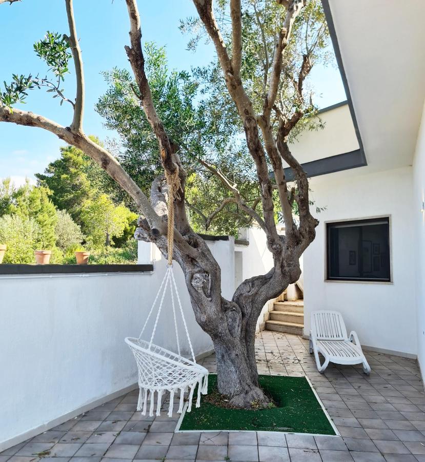 Villa Panoramica Sunset House Torre Vado Exterior foto